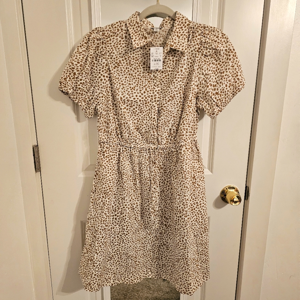 J.Crew Summer Dress